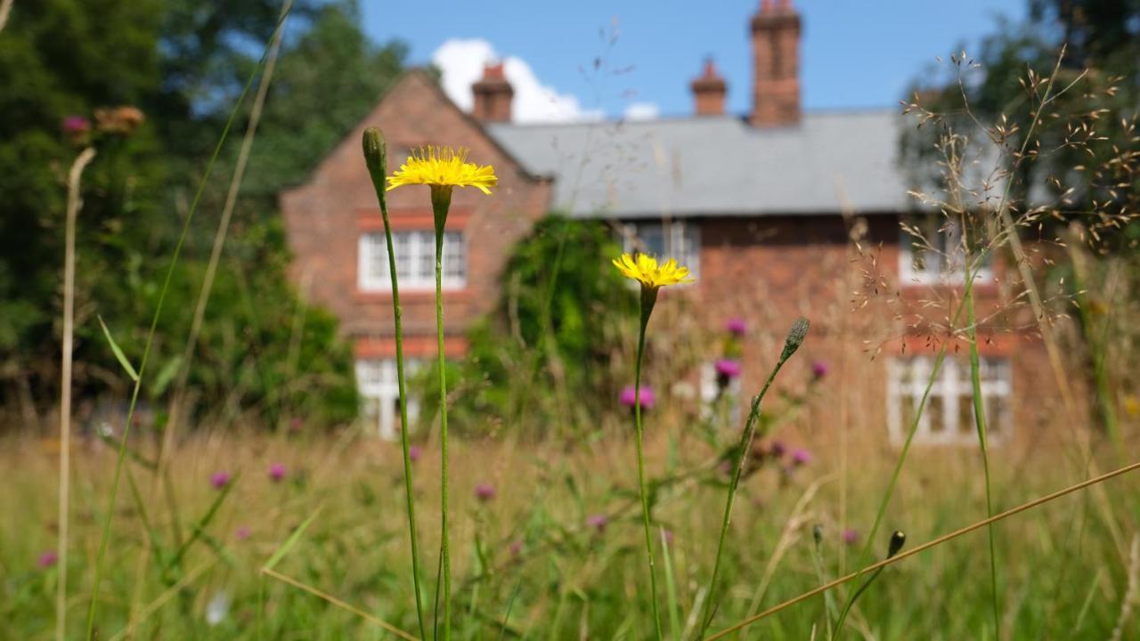 Beech Hill B&B Weaverham Kültér fotó